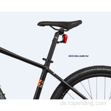 Customized MC02 Mountainbikes Elektrisch